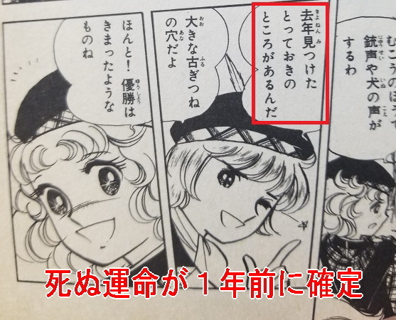 キャンディが養女になったことは落馬事故に関係なくない キャンディ キャンディ 研究白書