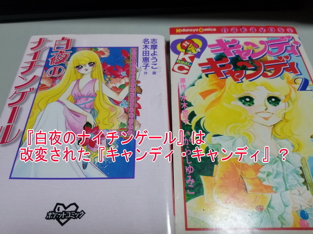 イルカ・トイレ』 トイレが海につながった世界: 『キャンディ