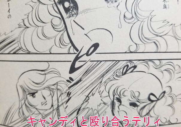 香川照之が悪い意味でテリィすぎてシャレにならない キャンディ キャンディ 研究白書