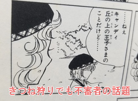 キャンディ』最大の謎 アンソニーはいつ「丘の上の王子さま」という呼び名を知った？: 『キャンディ・キャンディ』研究白書